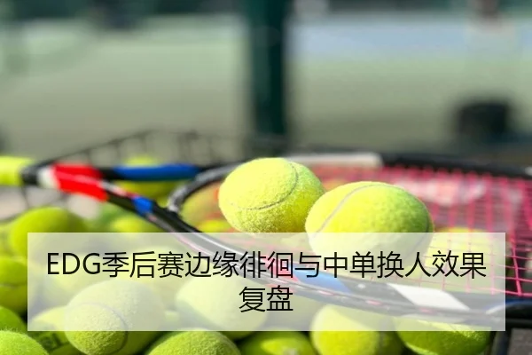 EDG季后赛边缘徘徊与中单换人效果复盘